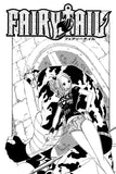 Fairy Tail Vol. 1