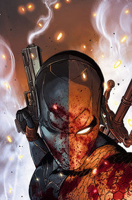 Deathstroke Vol. 1 - The Professional